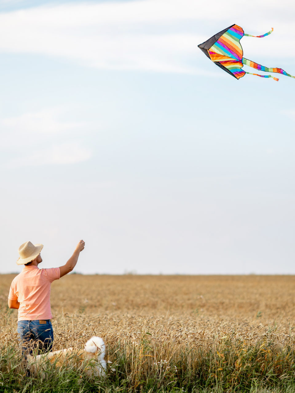 https://www.planetavenue.com/wp-content/uploads/2022/08/man-flying-kite-on-the-field-2022-01-18-23-53-38-utc-960x1280.jpg